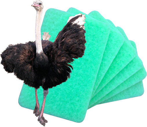 Ostrich Scratch Free Scourer Pads